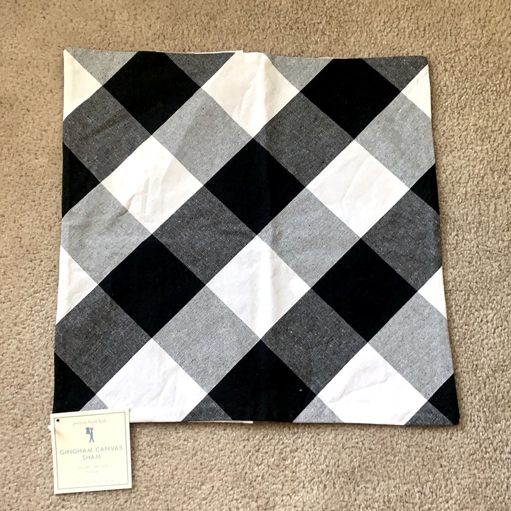 Pottery Barn Kids 16” pillow cover